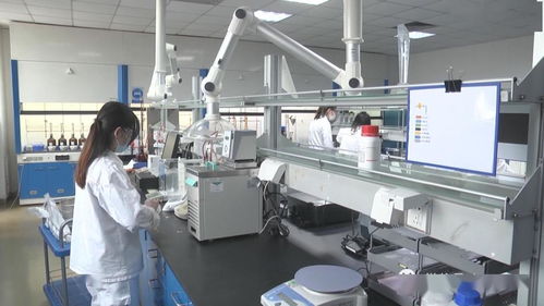 小區(qū)毗鄰食品廠，居民憂心互聯(lián)網食品銷售安全